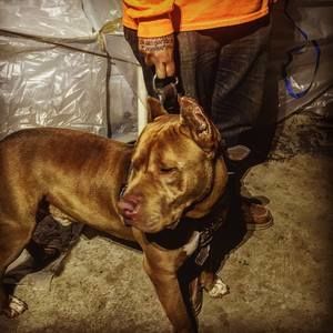 Meet your Posher, Eddie